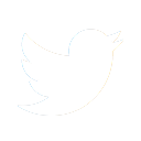 Twitter icon